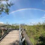 Bentsen-Rio Grande Valley State Park