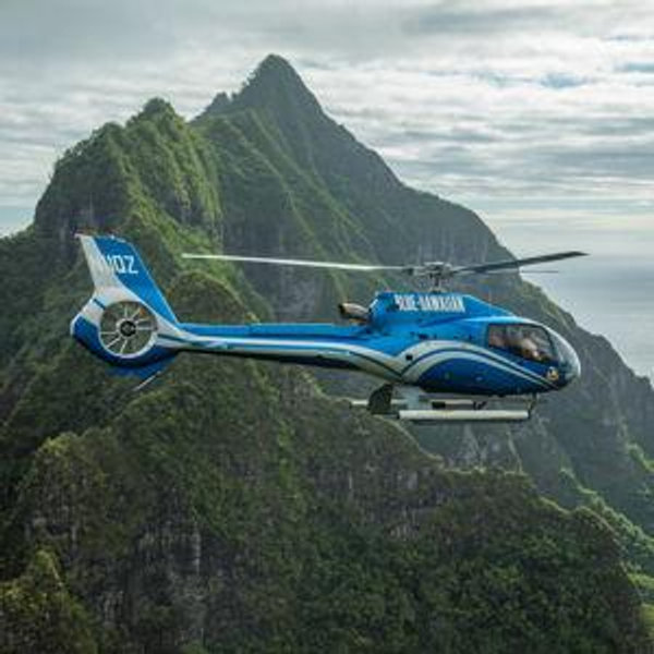 Wildlife Helicopter Tour for Two