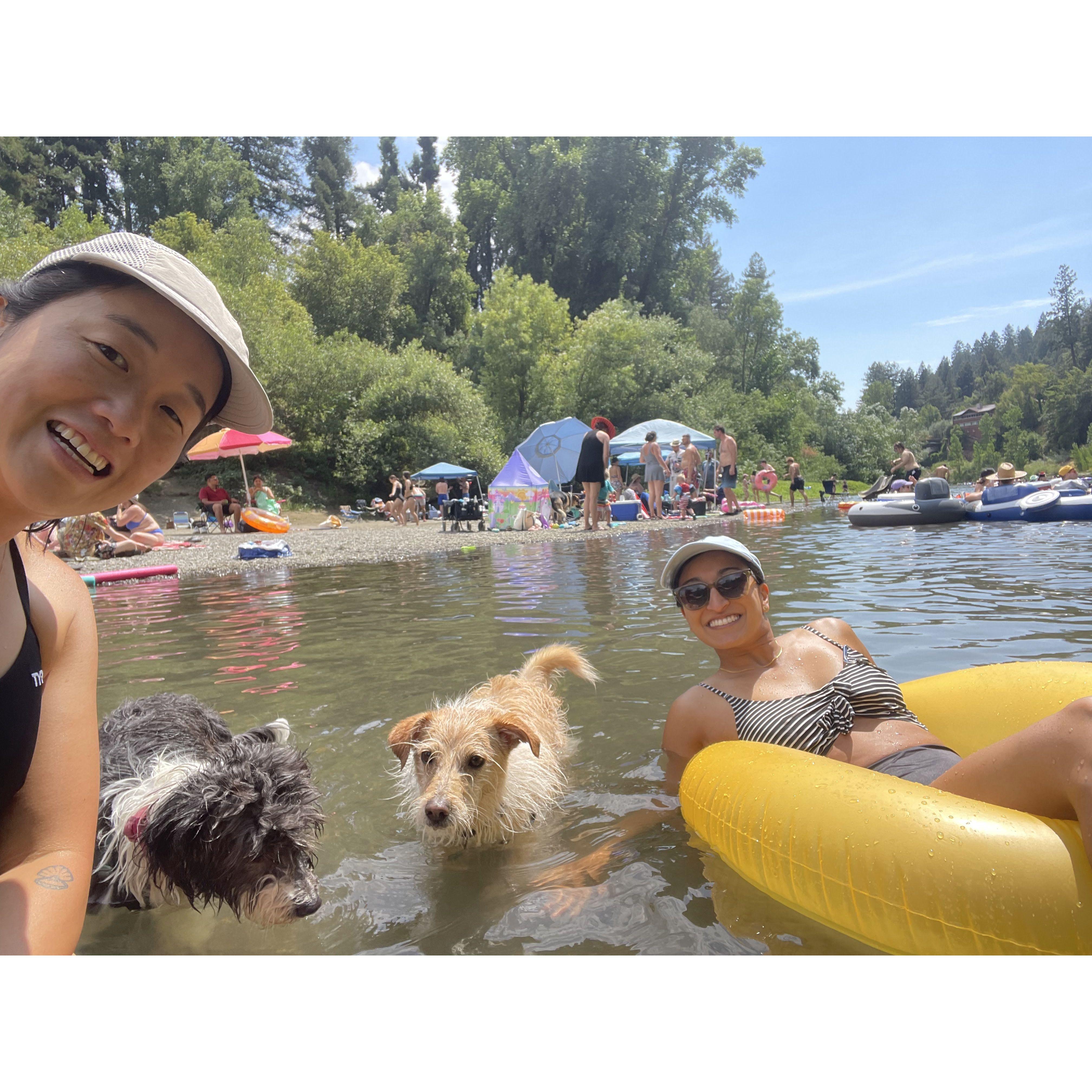 Russian River rats