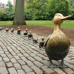 Boston Public Garden