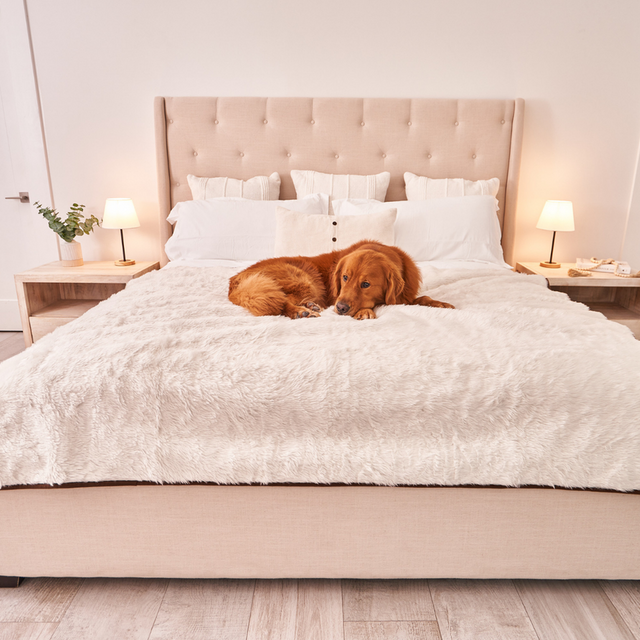 PupProtector™ Cool Comfort Waterproof Throw Blanket - Polar White