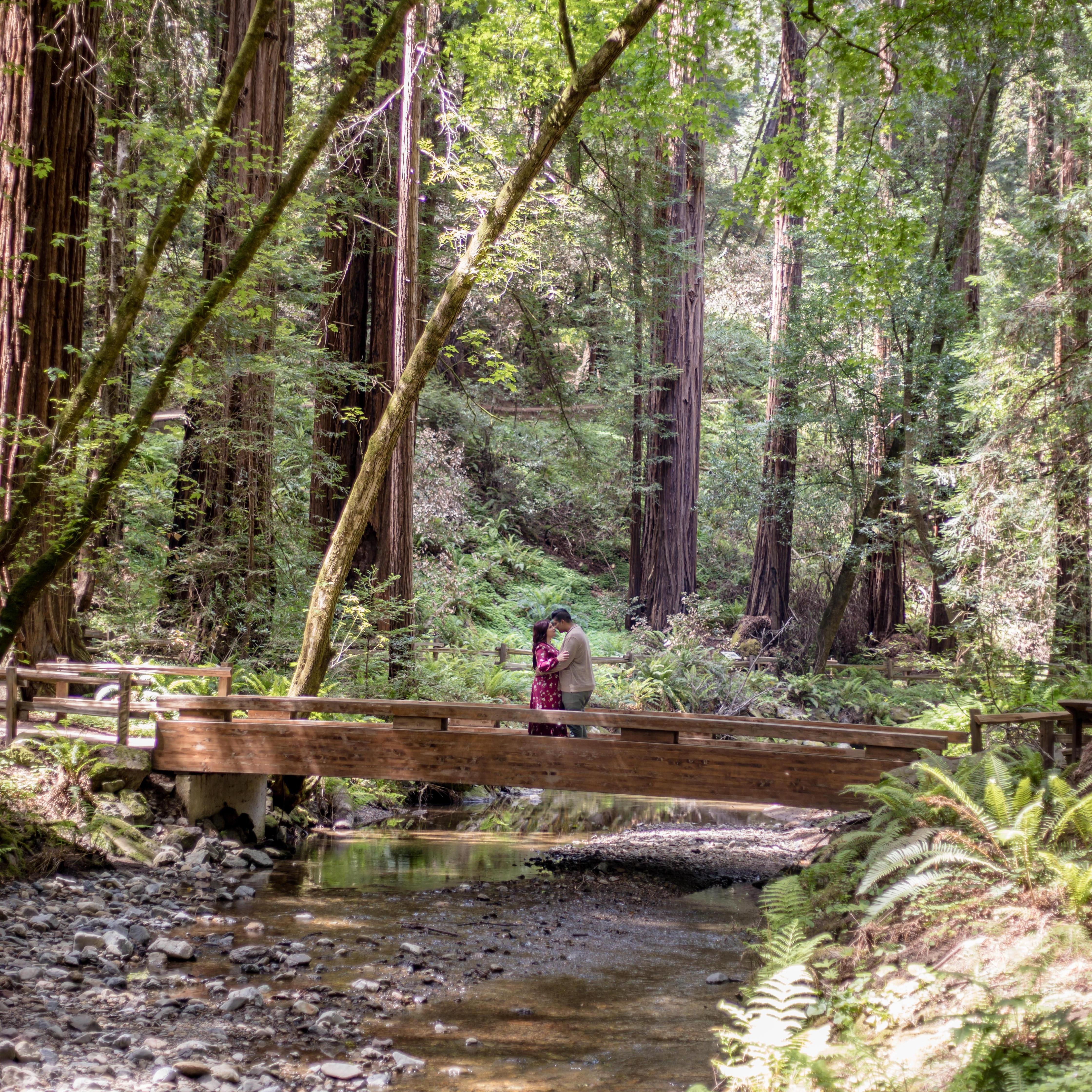 Engagement Photos - Muir Woods