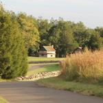 E. Carroll Joyner Park