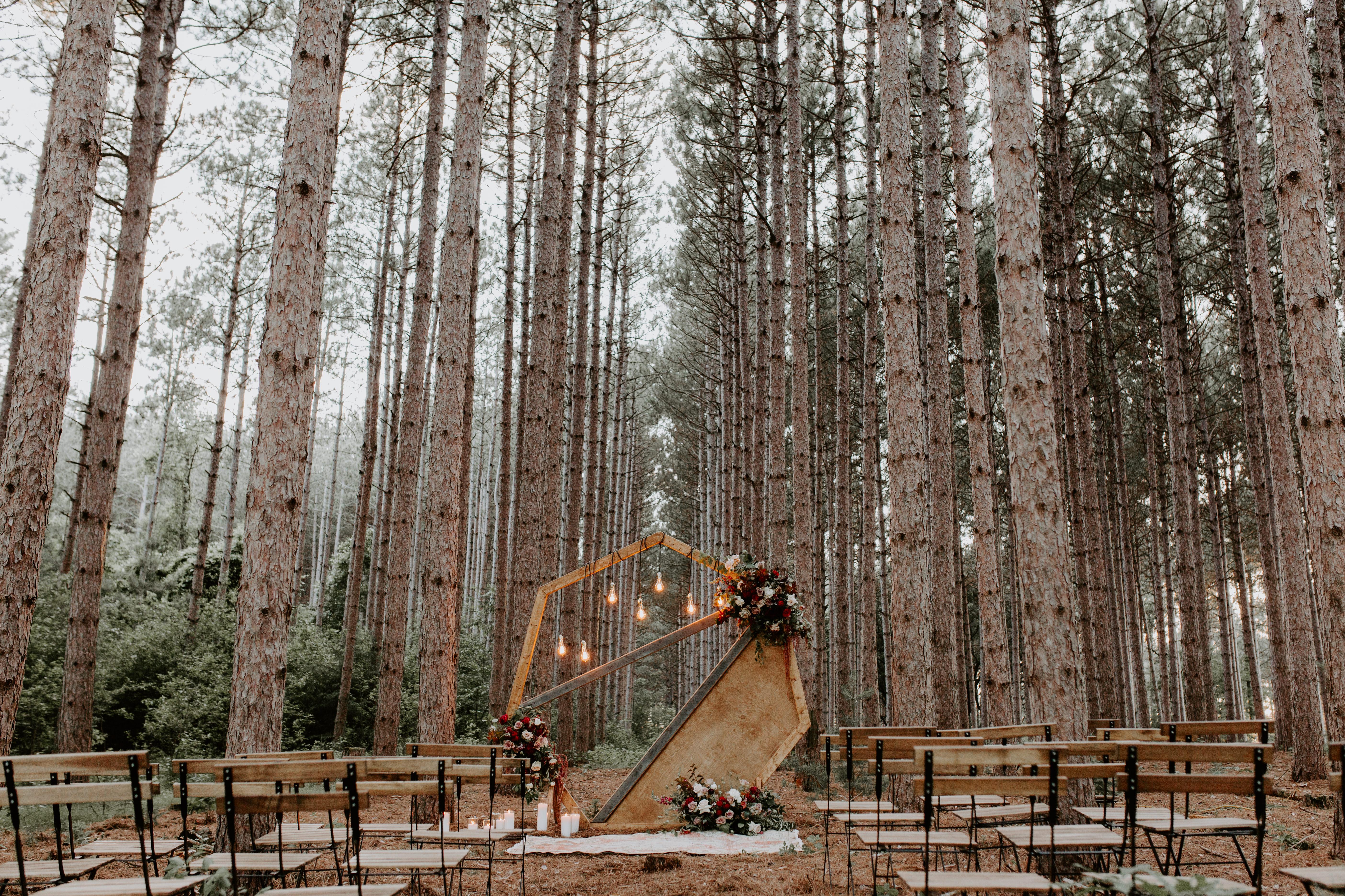 The Wedding Website of Laura Budinger and Nathan Illgen