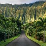 Hoʻomaluhia Botanical Garden