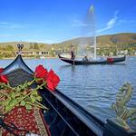 The Black Swan Gondola Company