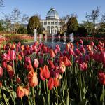 Lewis Ginter Botanical Garden