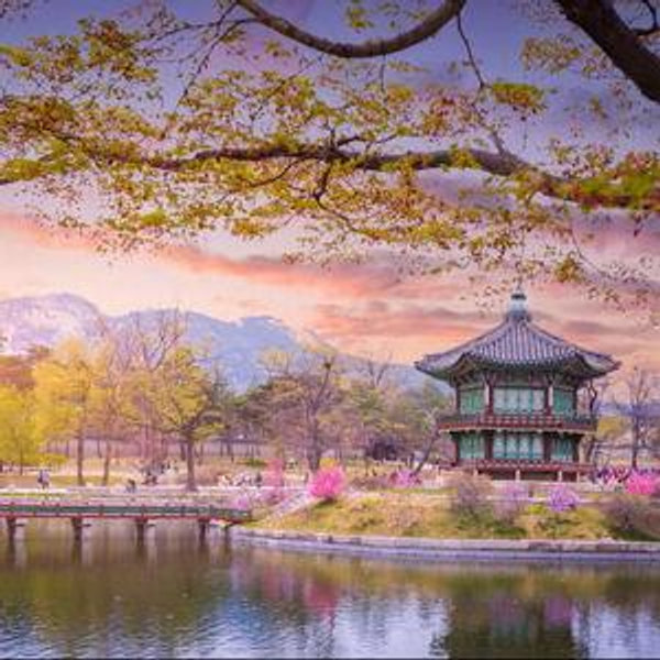 Honeymoon Fund - South Korea