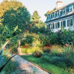 Chanticleer, a pleasure garden