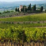 Chianto Classico region