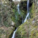 Ecopath White River
