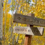 Aspen Nature Loop Trail