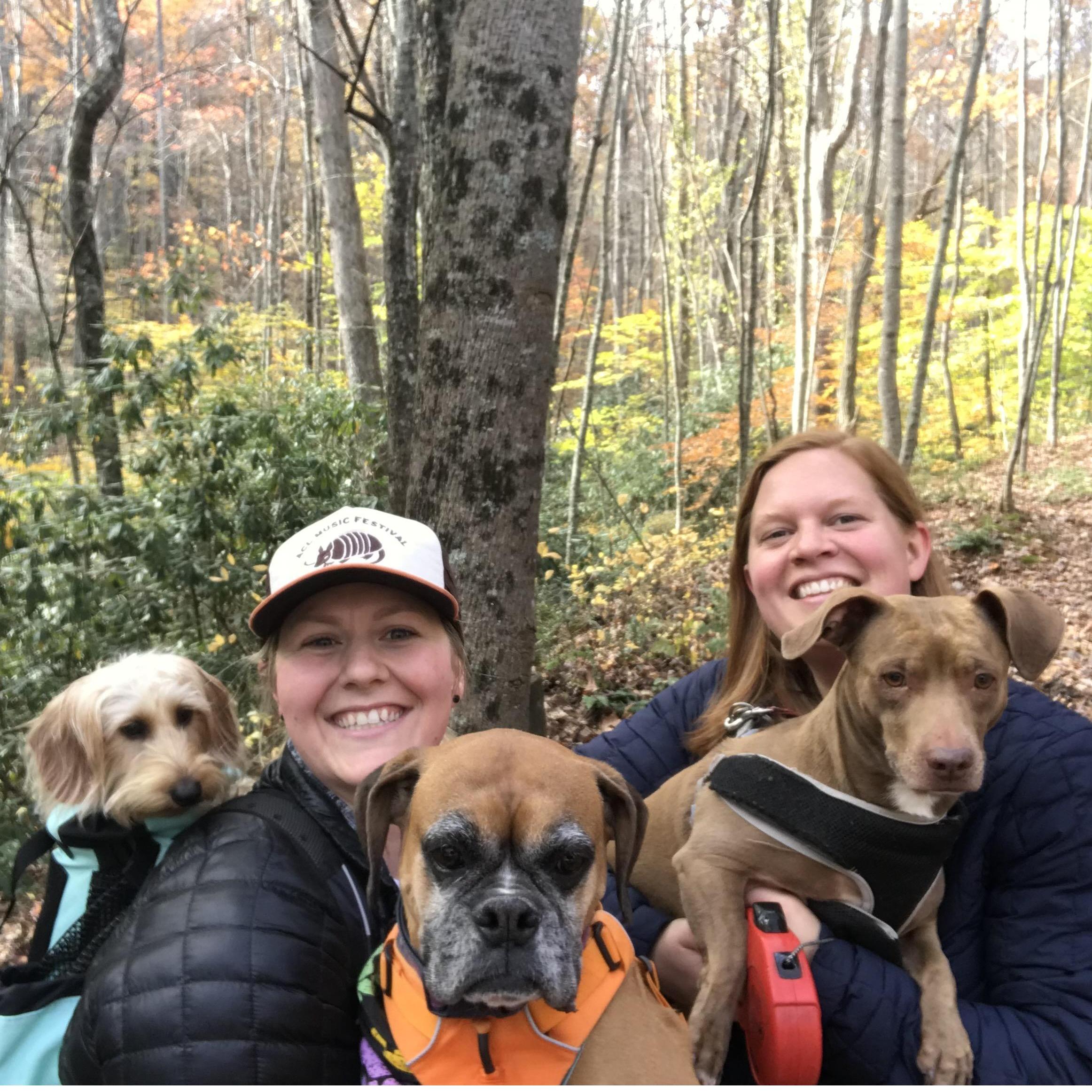Our little family hiking the Flat Creek in Blue Ridge: Rose, Holiday, and Bailey.