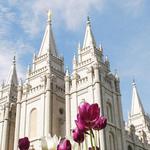 Temple Square
