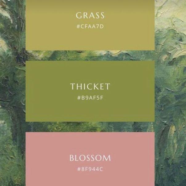 Color palate