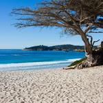 Carmel Beach