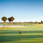 The Ocean Club Golf