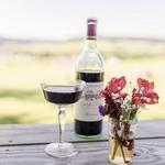 Gellella Terra Vineyard