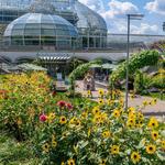 Phipps Conservatory and Botanical Gardens