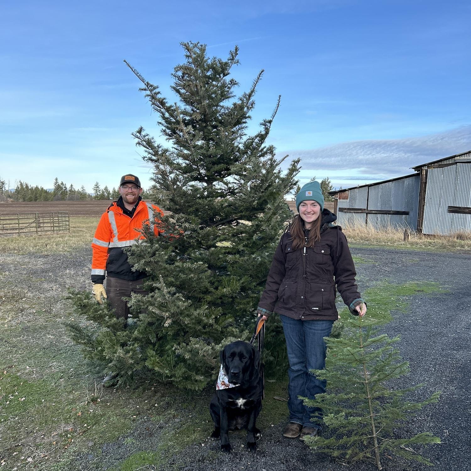 Our Christmas Tree hunt was a success