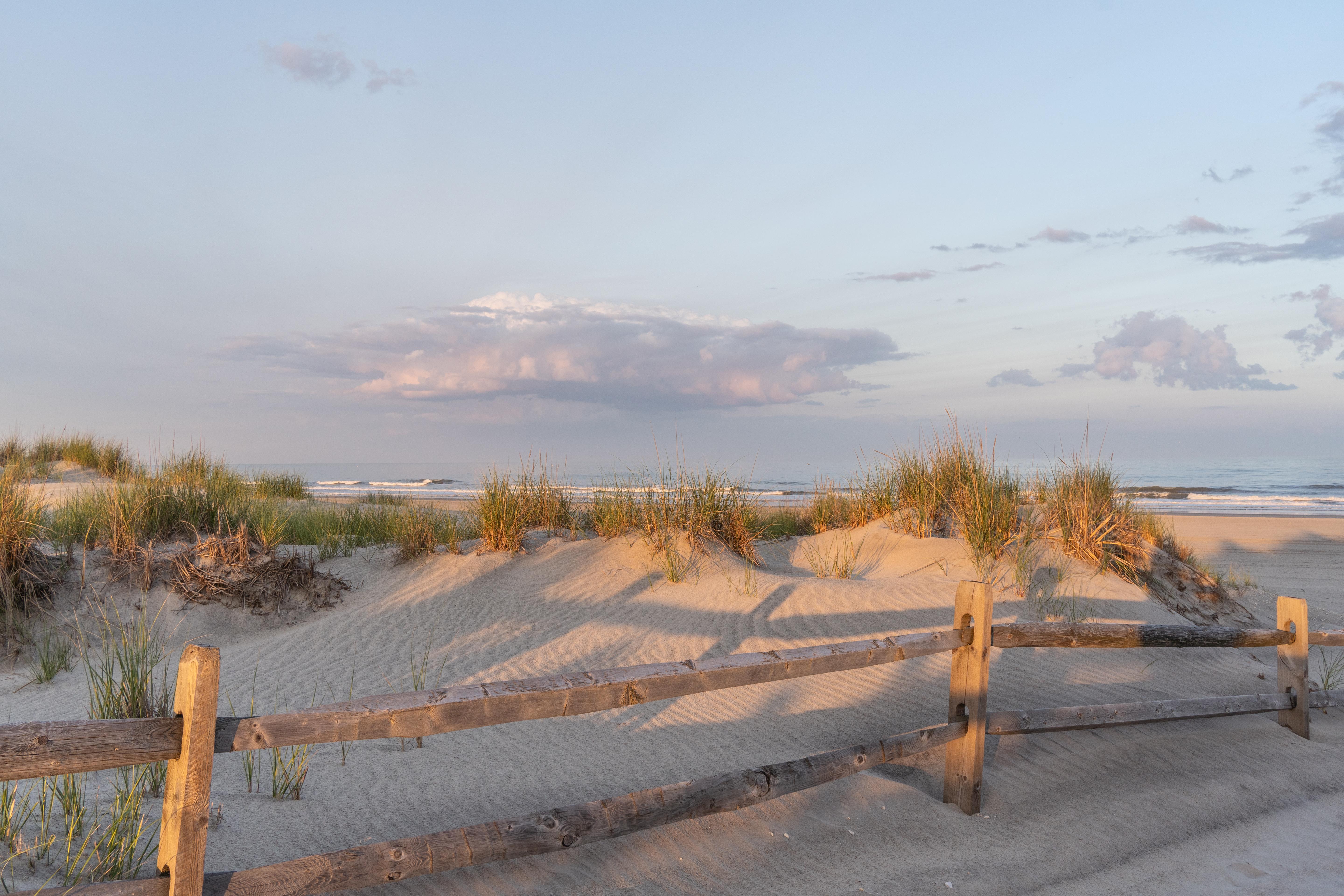 The Wedding Website of Tara Lynch and Jason Kraner