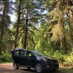Hoh Rain Forest