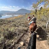 Spring Creek Ranch