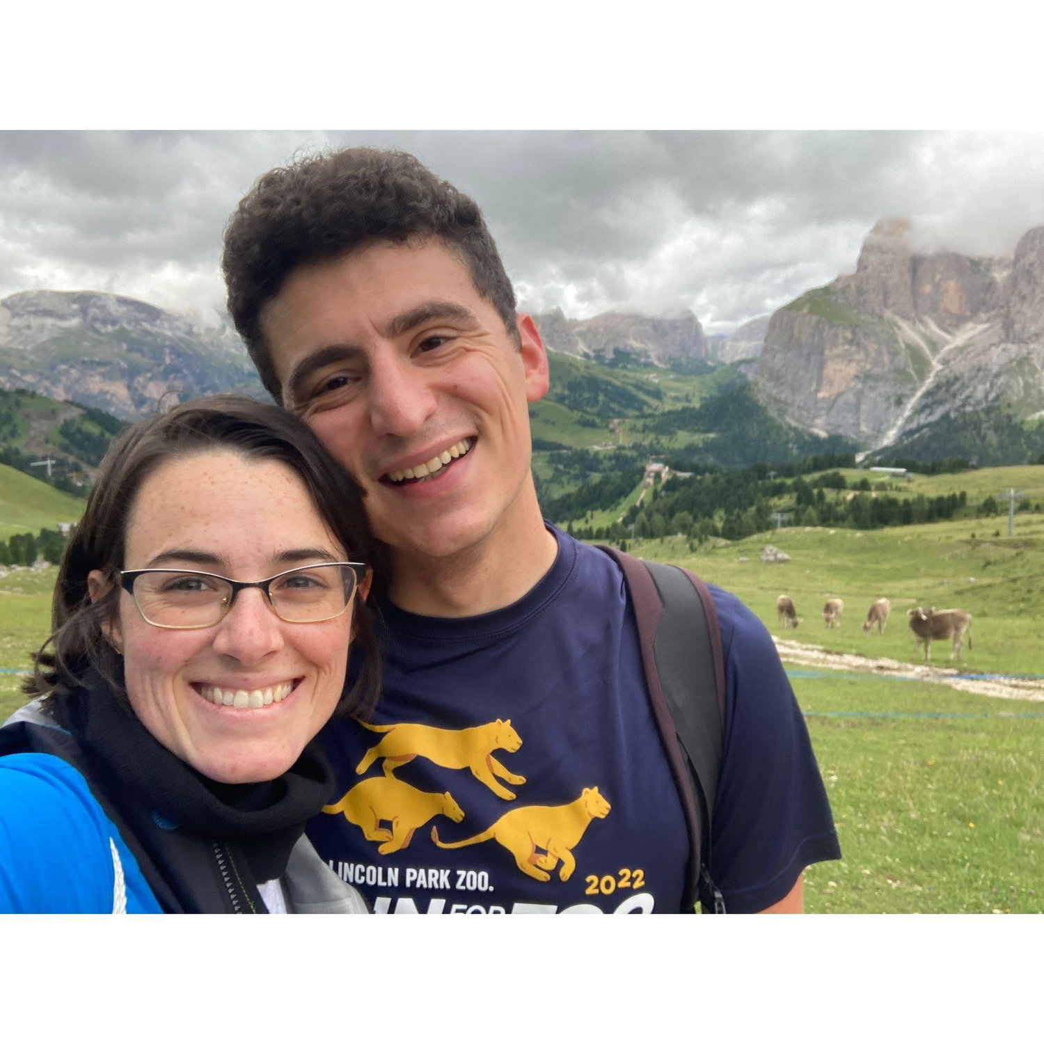 excited about the cows