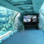Aquarium of the Pacific