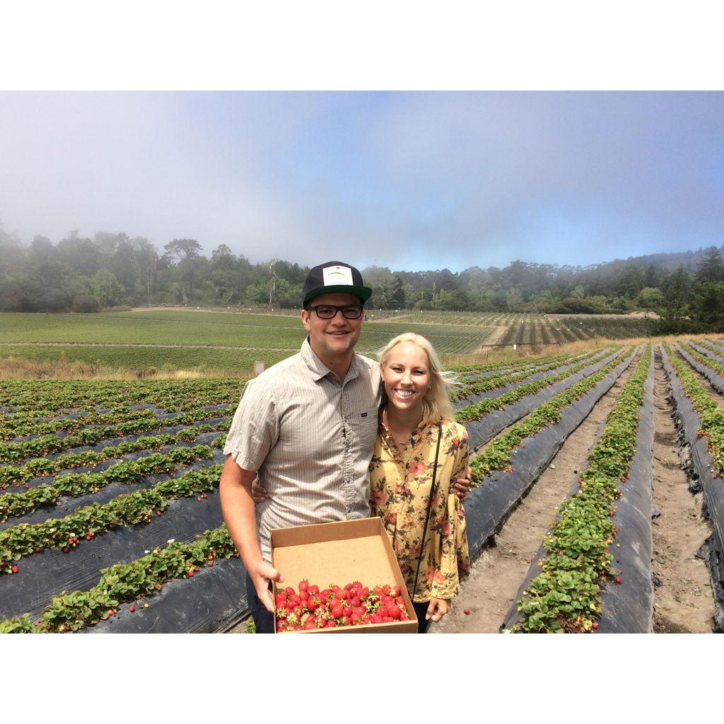July 2016 - Strawberry Picking in Davenport