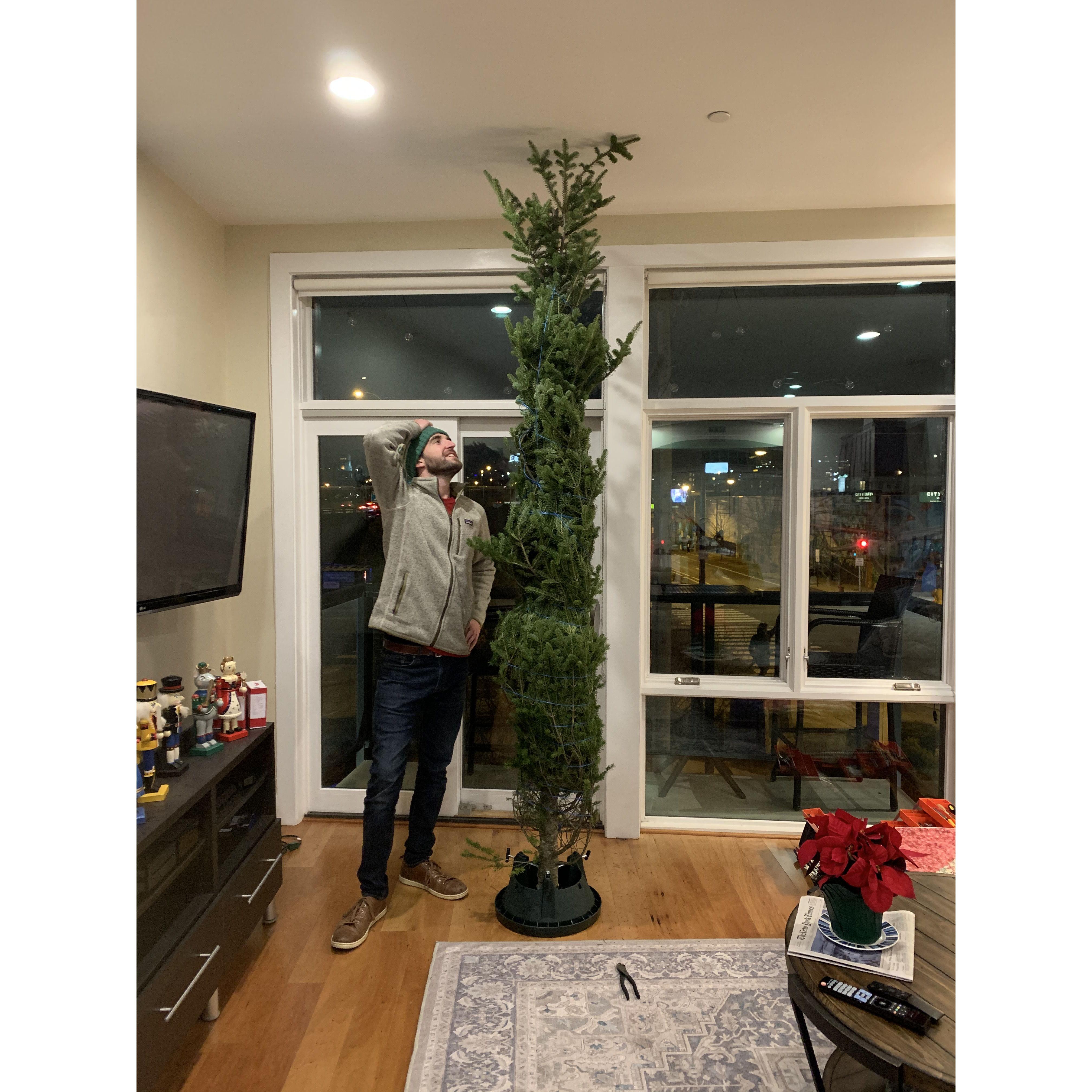First live Christmas tree was a little tall....