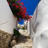 Plaka