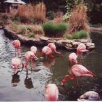 Birmingham Zoo