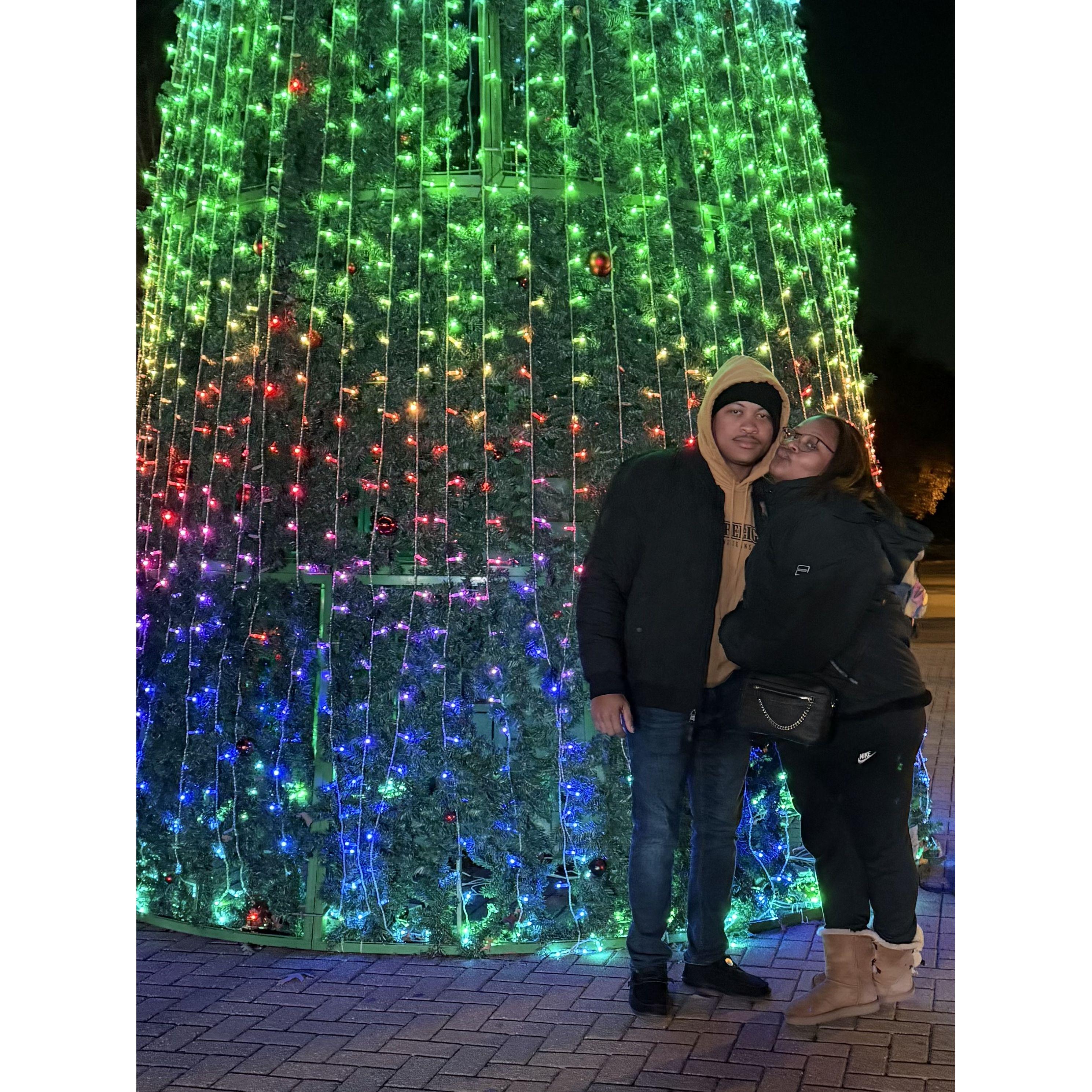 Zoo Lights for Christmas 2024🎄