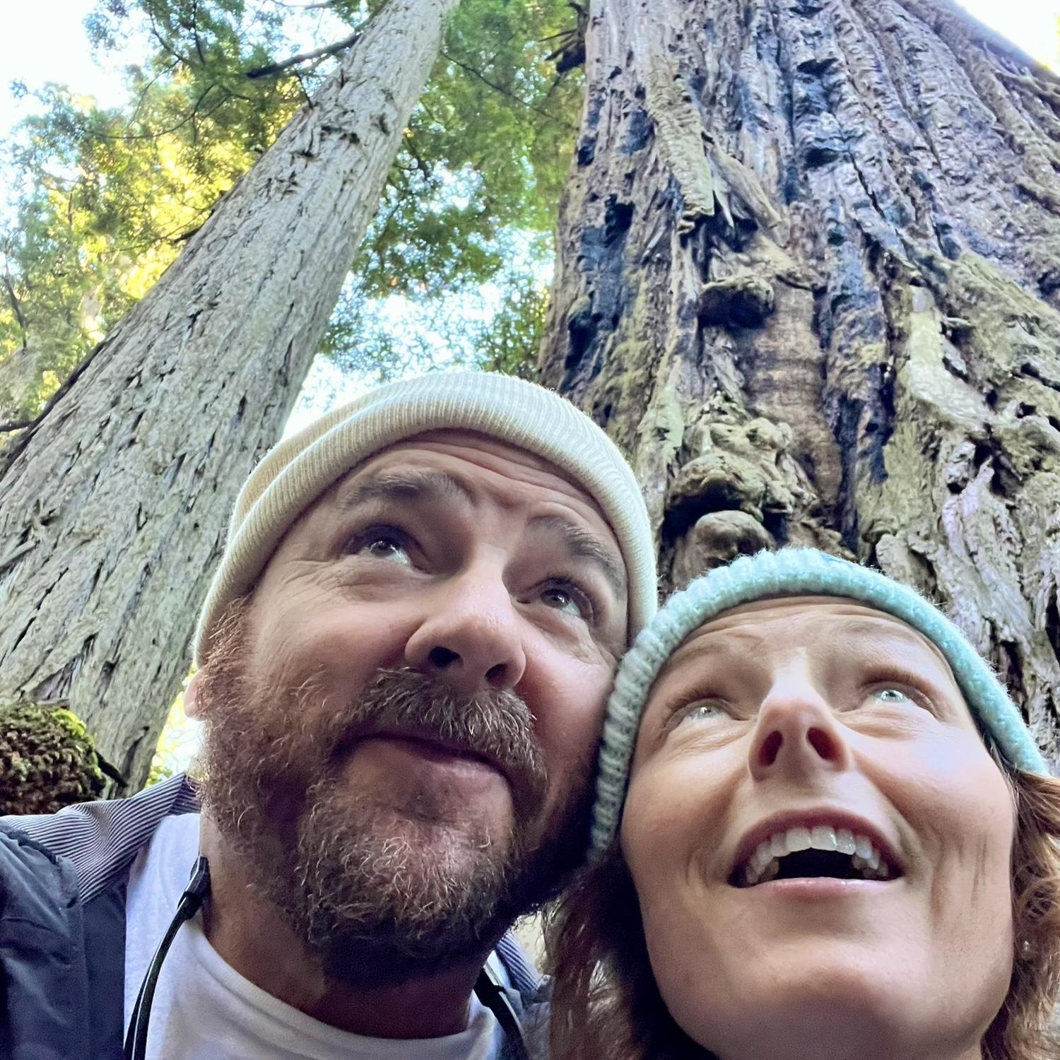 Redwood National Forrest