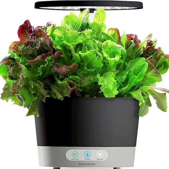 AeroGarden - Harvest 360 6-Pod with Gourmet Herb Seed Pod Kit - Black