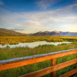 Potter Marsh Wildlife Viewing Boardwalk