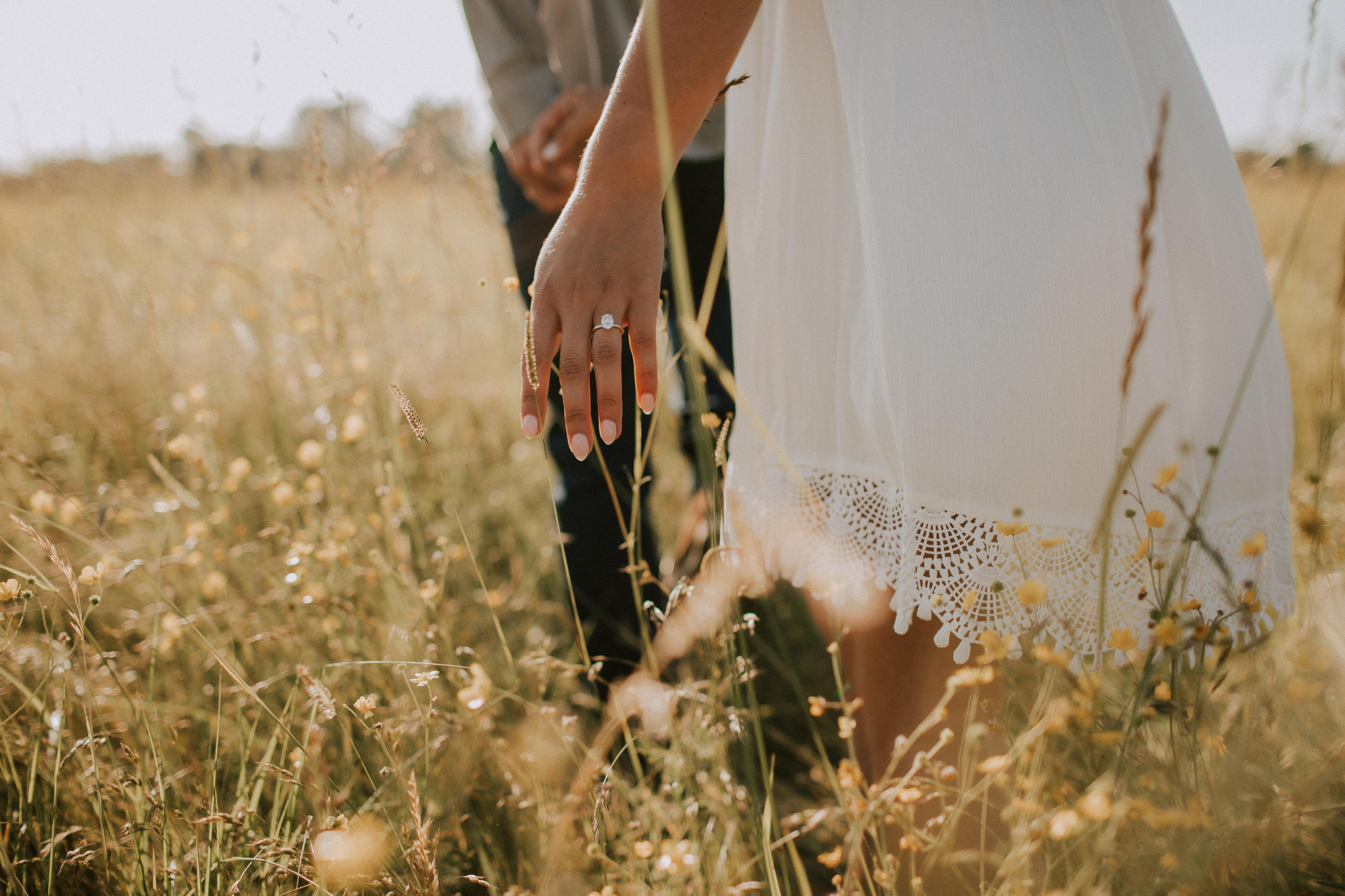 The Wedding Website of Alexa Vander Meulen and Kyle Vermeulen