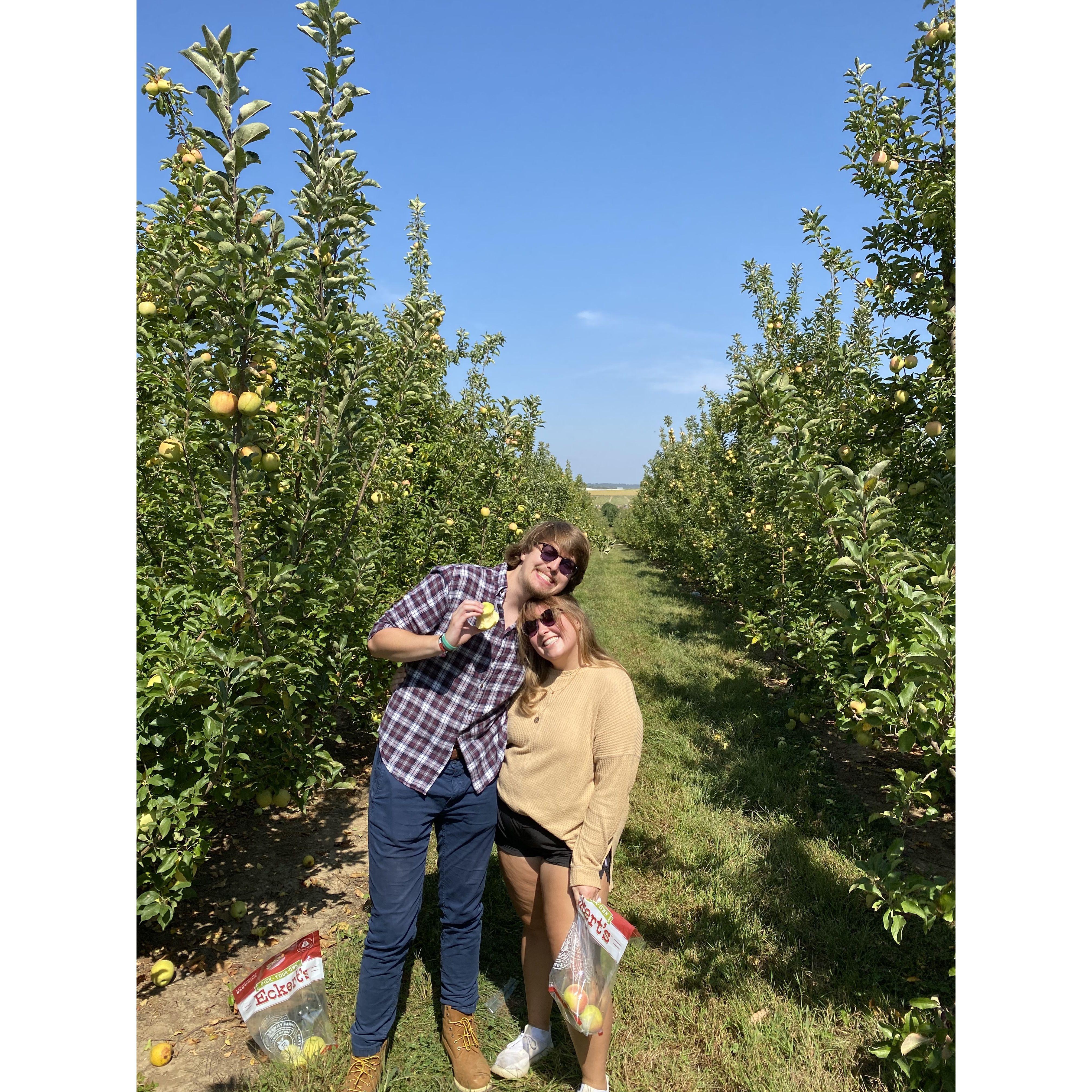 Apple picking at eckerts