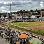 Charleston Dirty Birds Minor League Baseball Team