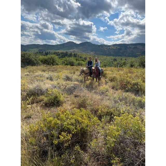 Horseback Riding in Aspen!