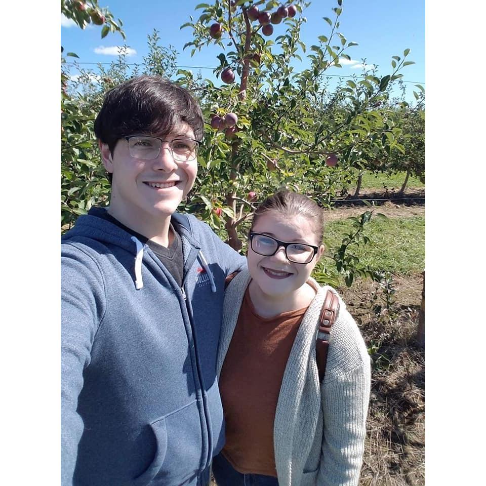 Apple picking, 2020