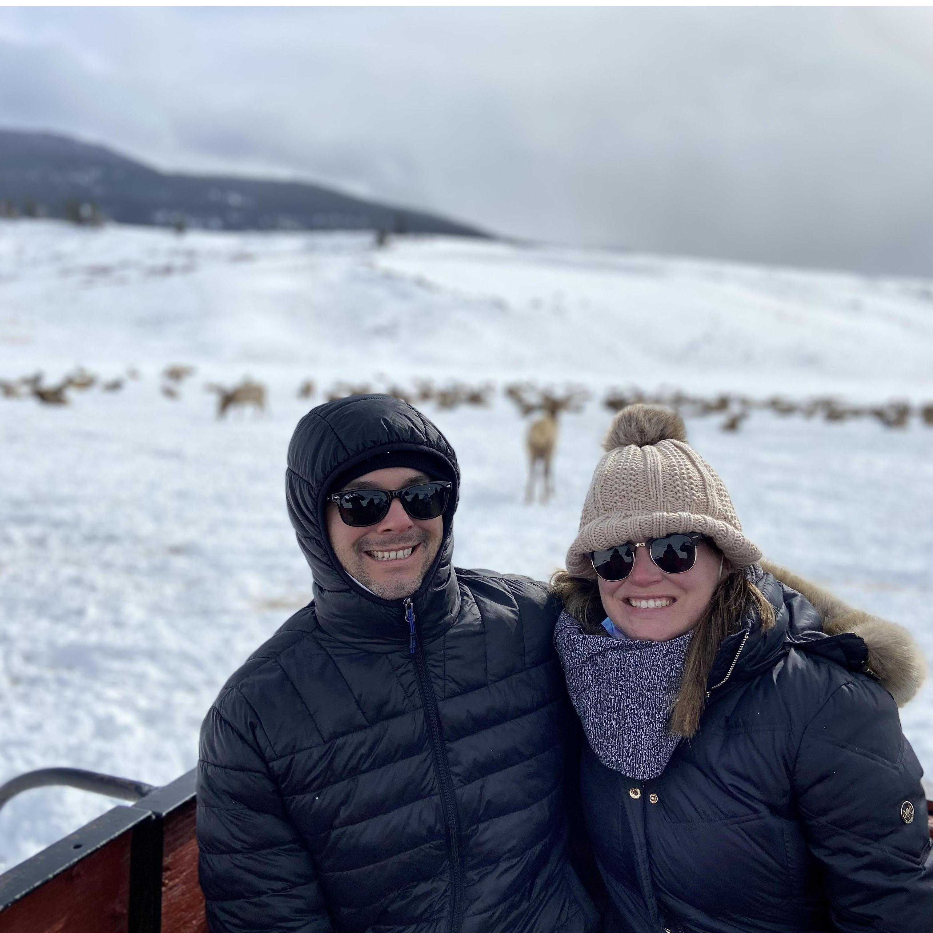 Elk Reserve Tour in Jackson Hole, Wyoming