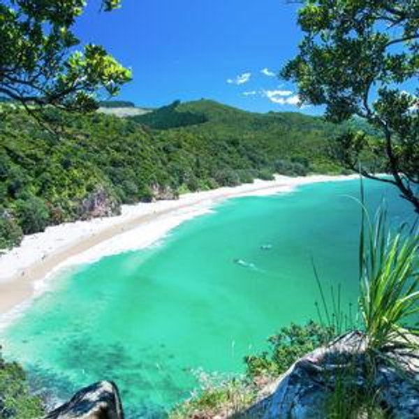 Our Honeymoon Fund - New Zealand!!!