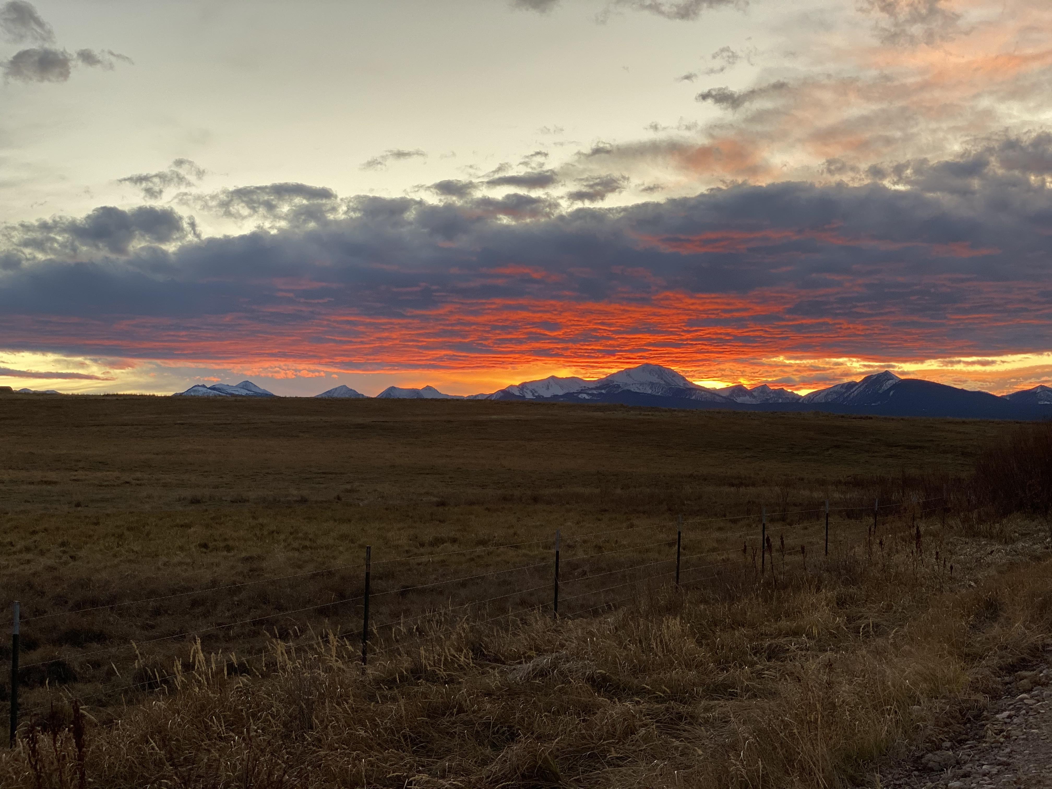 a2b33a60-084a-4e7a-8570-36261e7d0036