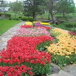 Gage Park