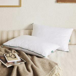 Memory Foam Pillows, Set of 2