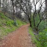 Hidden Falls Regional Park