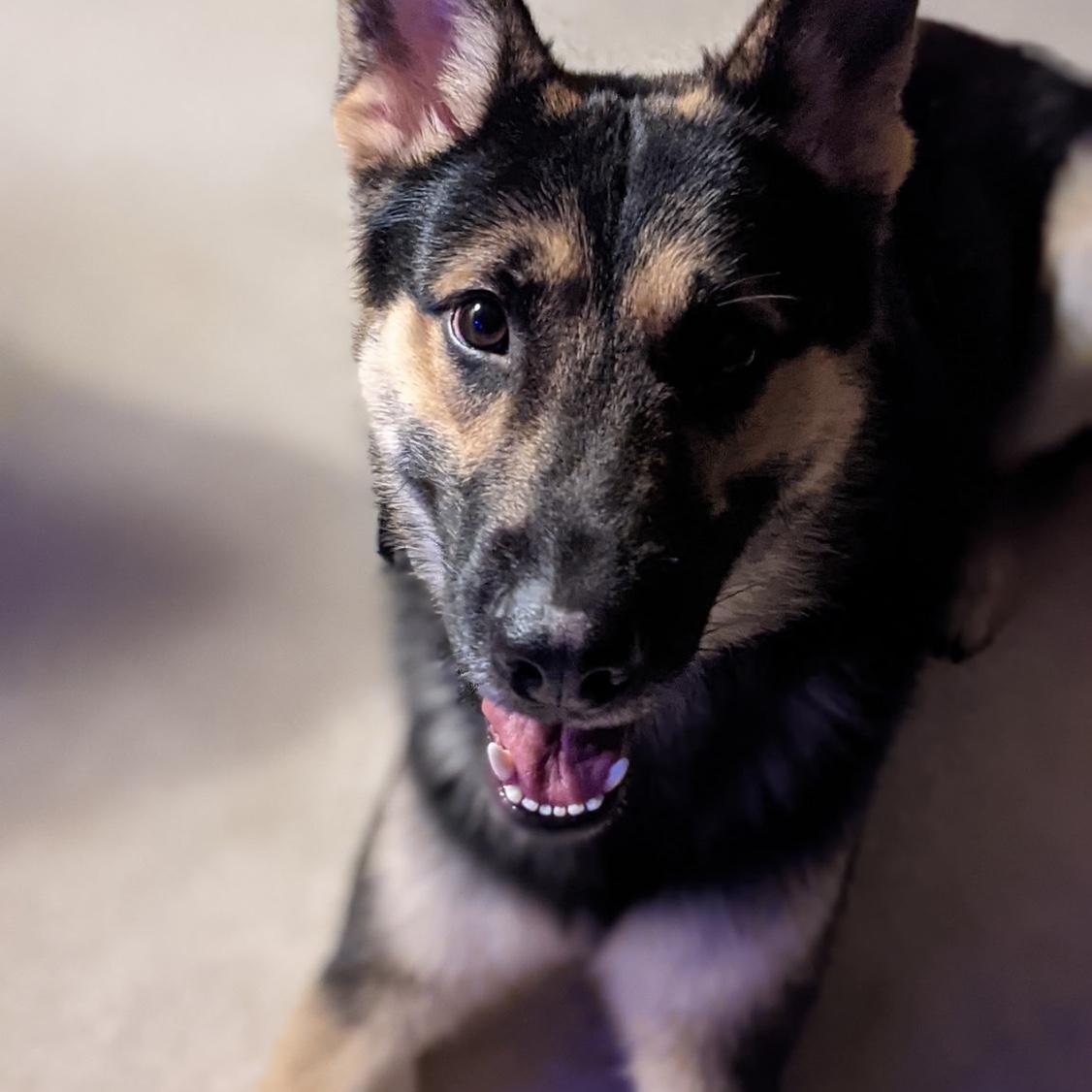 Jude