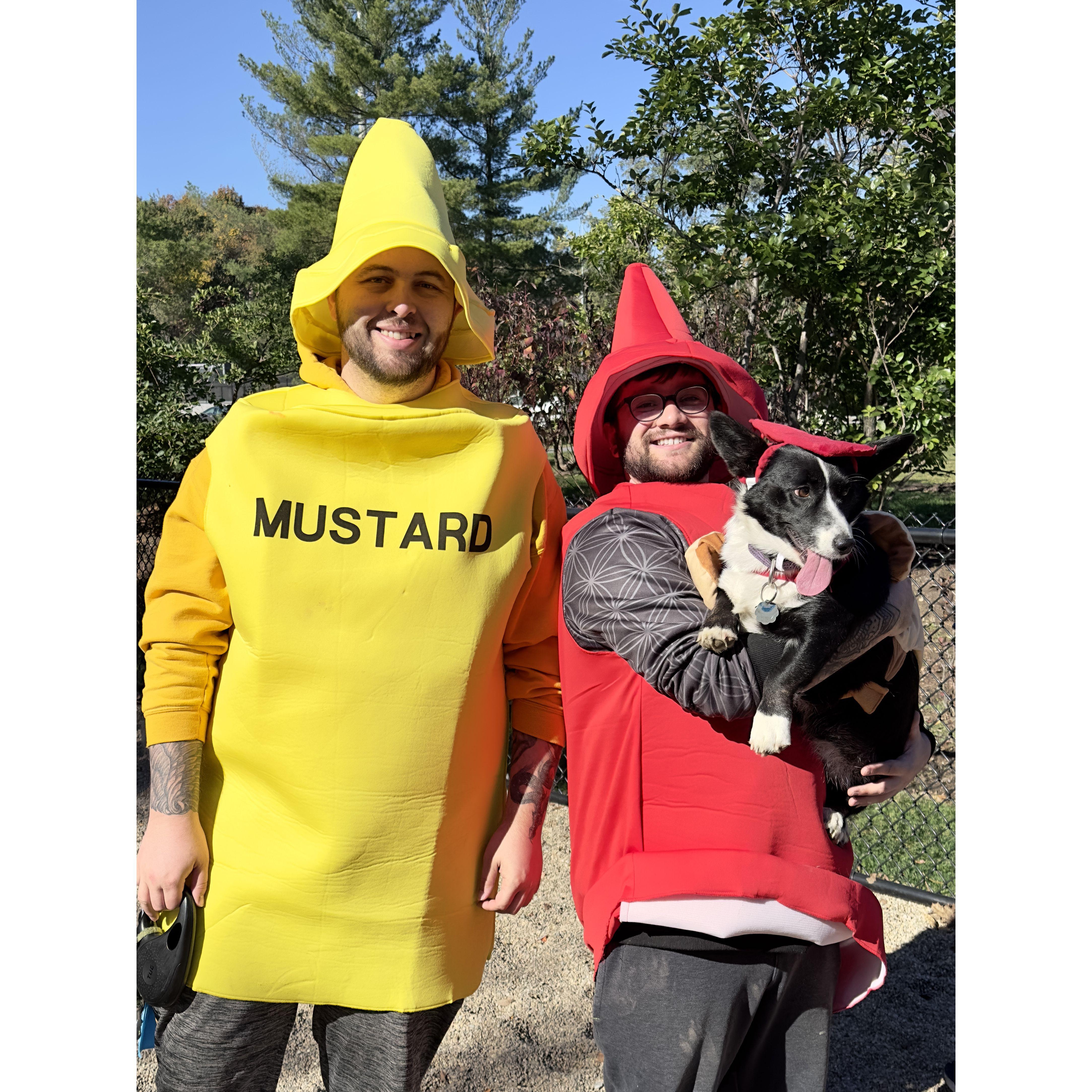 Watertown Corgi Meetup (Halloween 2022)